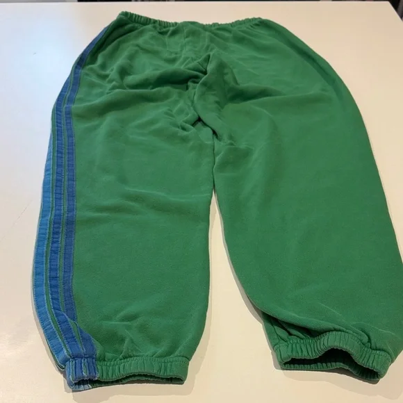 Aviator Nation Green Track Pants with Blue Stripes - Picture 5 of 6